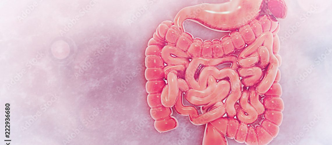 5 mitos e verdades sobre o intestino