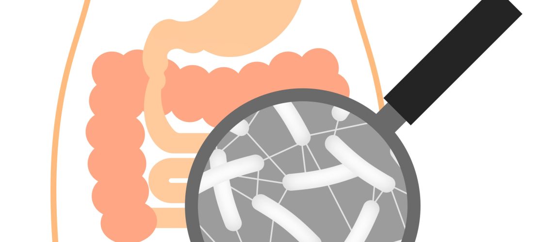 大腸の中のO-157