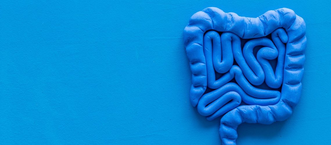 Pólipos no intestino