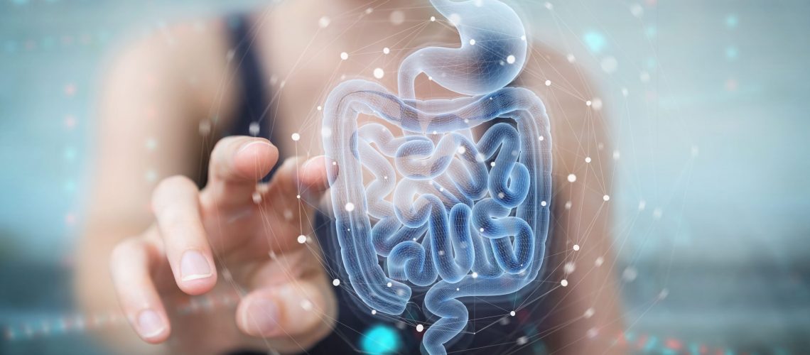 Microbiota Intestinal