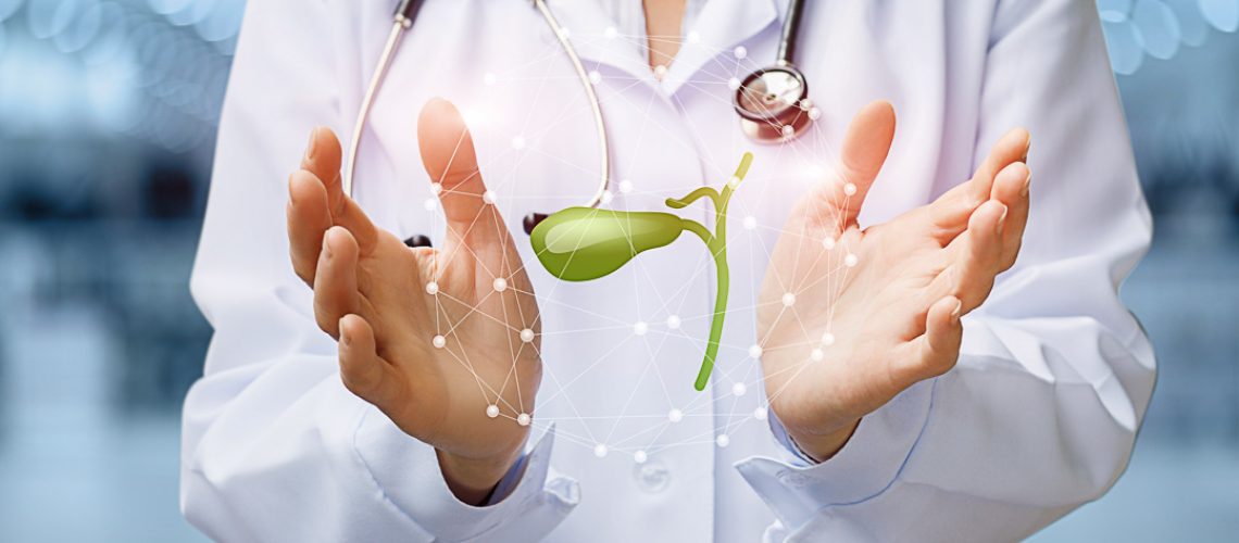 Doctor shows gallbladder on blurred background. The concept of the care and treatment of the gallbladder.