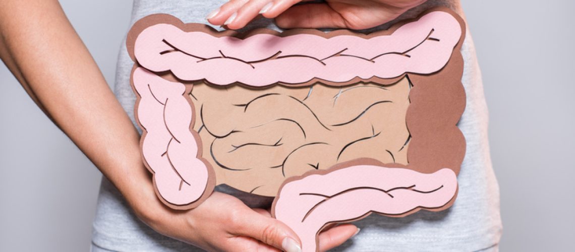 partial view of woman holding paper made large intestine on grey background
